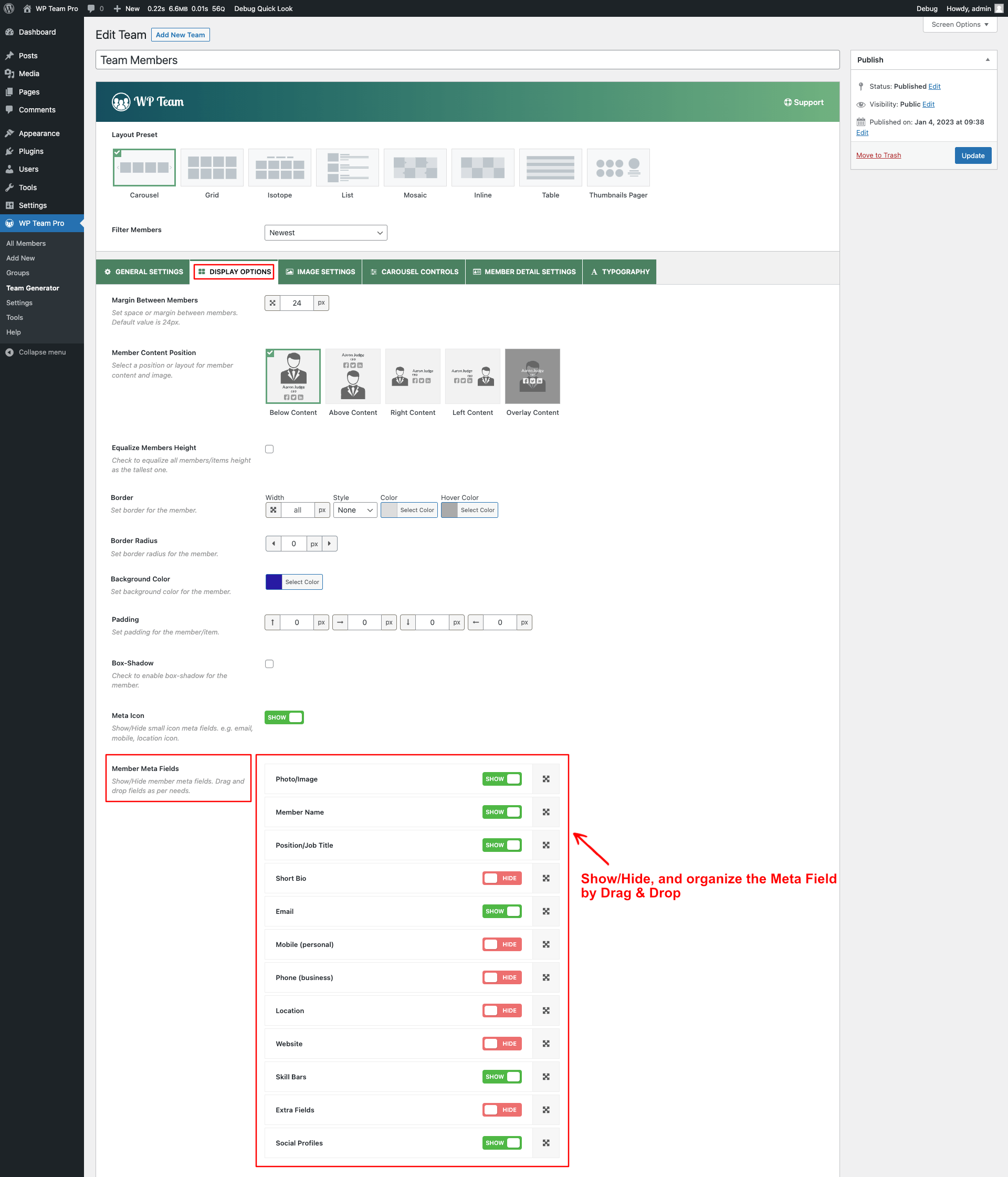 How to Show and Order Meta Fields (Drag & Drop) WP Team